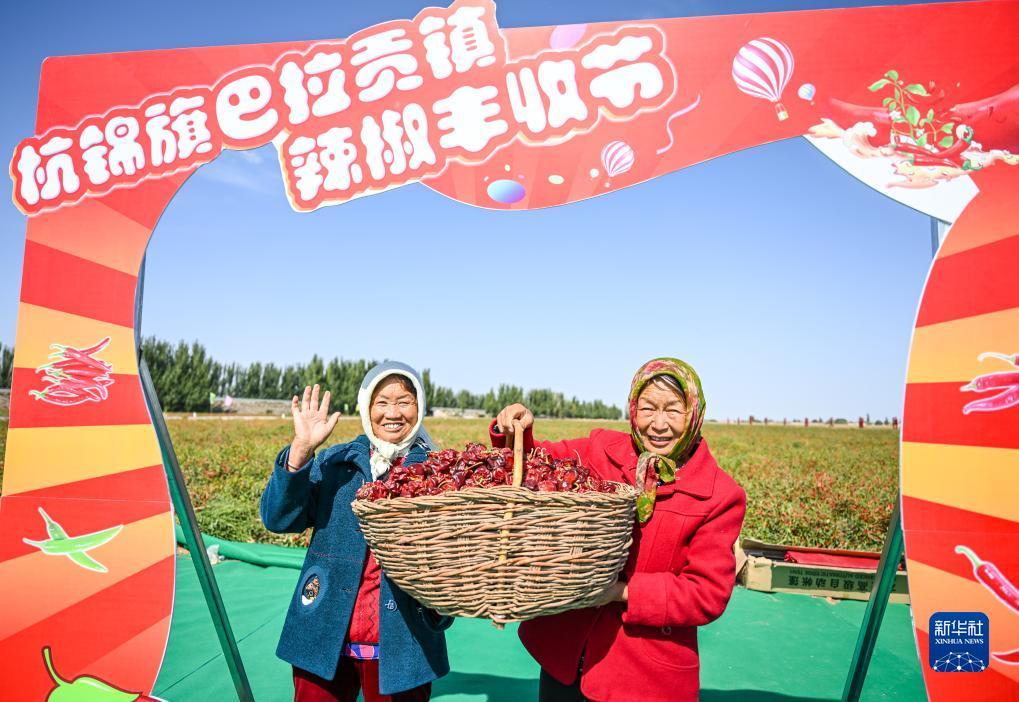 9877小游戏打不了